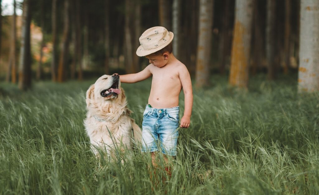 child, dog, field